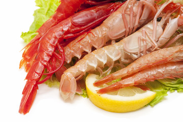 shrimps, prawns and crayfish