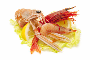 seafood