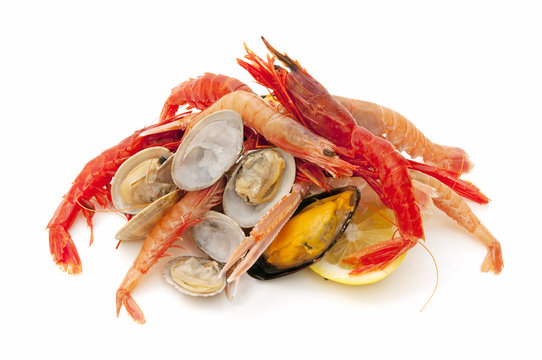 fresh seafood