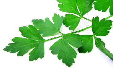 parsley