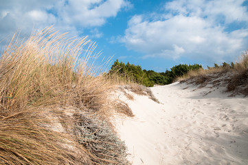 Costa Smeralda, Sardinia, sand dunes on Pevero beach