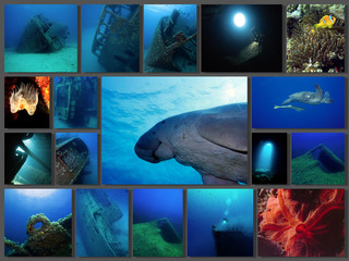 collage subacquea