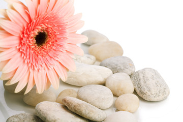 stones and flower