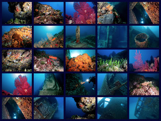 collage subacquea
