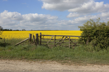 old field gate