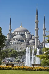 Foto op Plexiglas Sultanahmet Mosque at Istanbul © Anibal Trejo