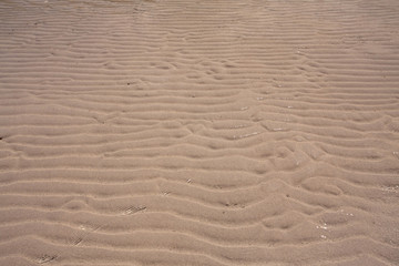 Fototapeta na wymiar Sand background texture trough the ripple sea water