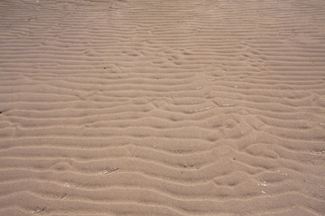 Sand background texture trough the ripple sea water