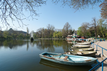 Naklejka na ściany i meble Jezioro W Cismigiu Park - Bukareszt