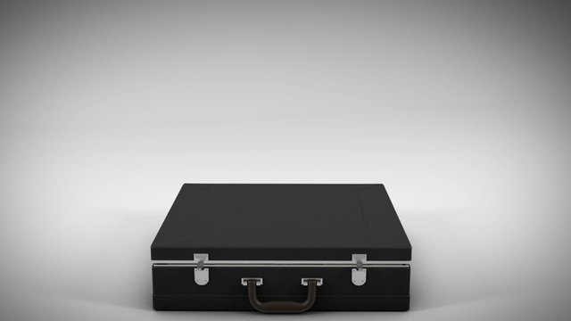 Brief case full of money