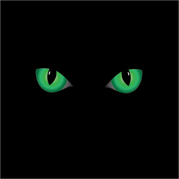 vector image  of the green cat' s eyes on the black background.