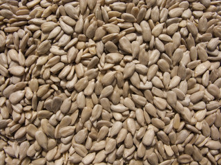Sunflower seeds