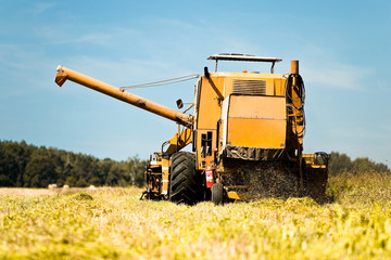 Combine harvester working in a wheat field