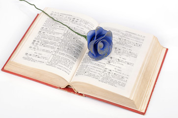 flower and dictionary