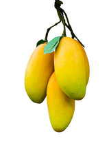 Mango ripe