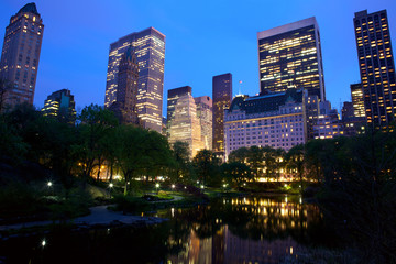 Fototapeta na wymiar Central Park and New York City skyline at dusk, USA
