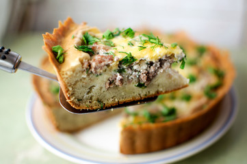 piece of meat pie