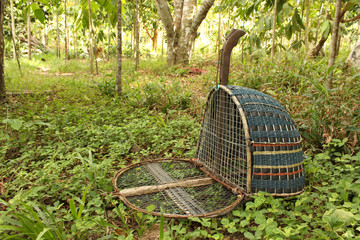 Handmade bird trap