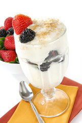 Healthy Yogurt Sundae