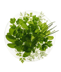 Kräutersalat