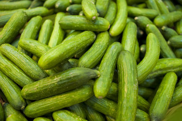 Cucumbers bunched together For Sale At Market