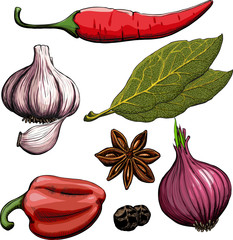 Spice. Onion, garlic, pepper, bay leaf, hot pepper