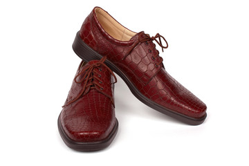 Male brown shoes isolated on the white background