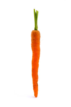 Single carrot over white