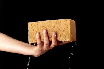 spugna per automobili