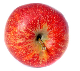 Red   apple isolated on white background