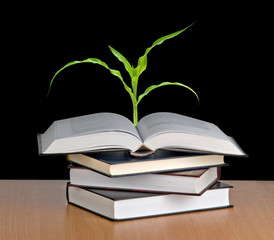 Corn growing from book