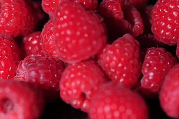 frische Himbeeren