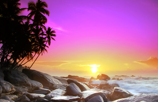 Fototapeta Sunrise on Sri Lanka