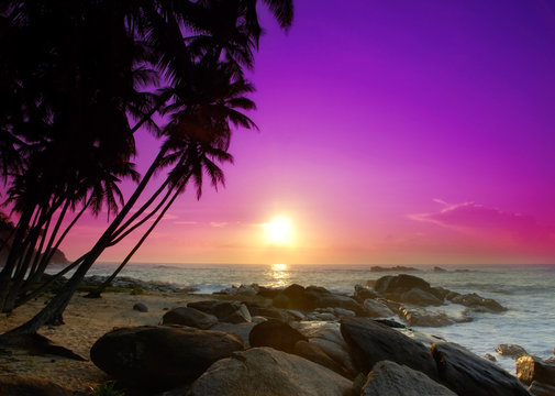Fototapeta Sunrise on Sri Lanka