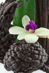 orchidée et gousses de vanille tressées, tortue, ananas