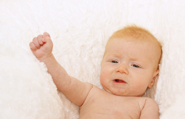 Baby im Fell 2