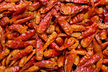 Dried Chilis