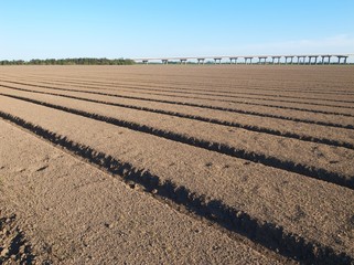 Freshly prepared and sown field