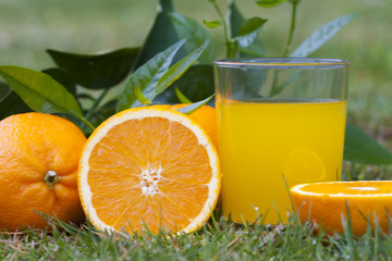 orange juice, health and balanced diet