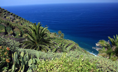 Landscape on La Gomera, Canary island,Spain - obrazy, fototapety, plakaty