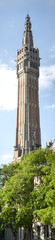 Fototapeta na wymiar Mer Lille i jego dzwonnicy