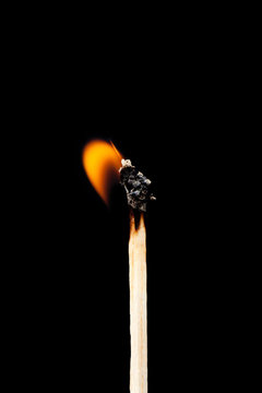 burning match, burning fire of a match on black screen.