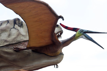Dinosaurs © BGStock72