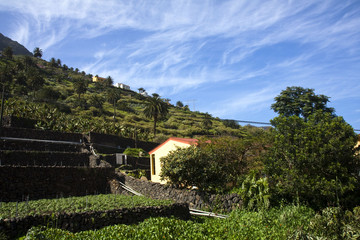 Landscape on La Gomera, Canary island,Spain