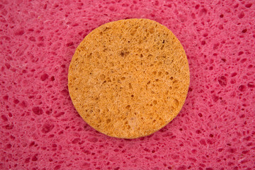 Porous pink structure with yellow circle