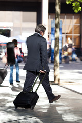 Fototapeta premium business man