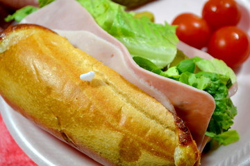 Summer Sandwich
