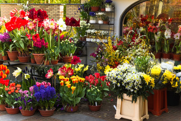 Florist shop with colorful spring flowers - 32043475