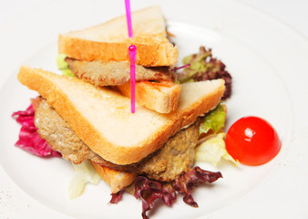 Sandwich with beef on a white plate