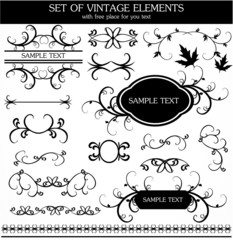 Calligraphic vintage set